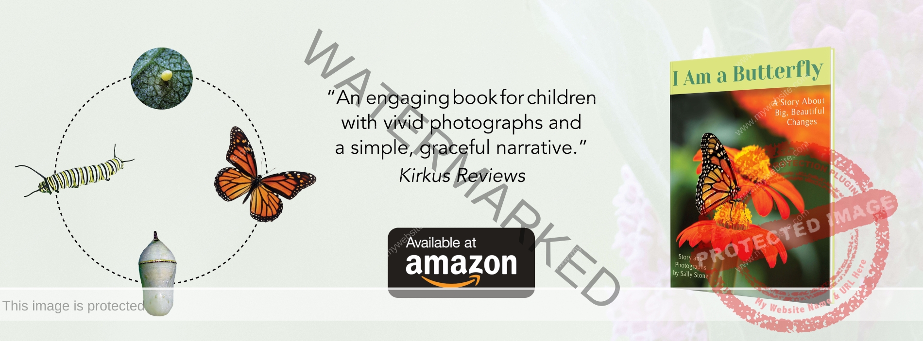 Website-Banner-I-Am-a-Butterfly-WHOLESALE-BOOKS