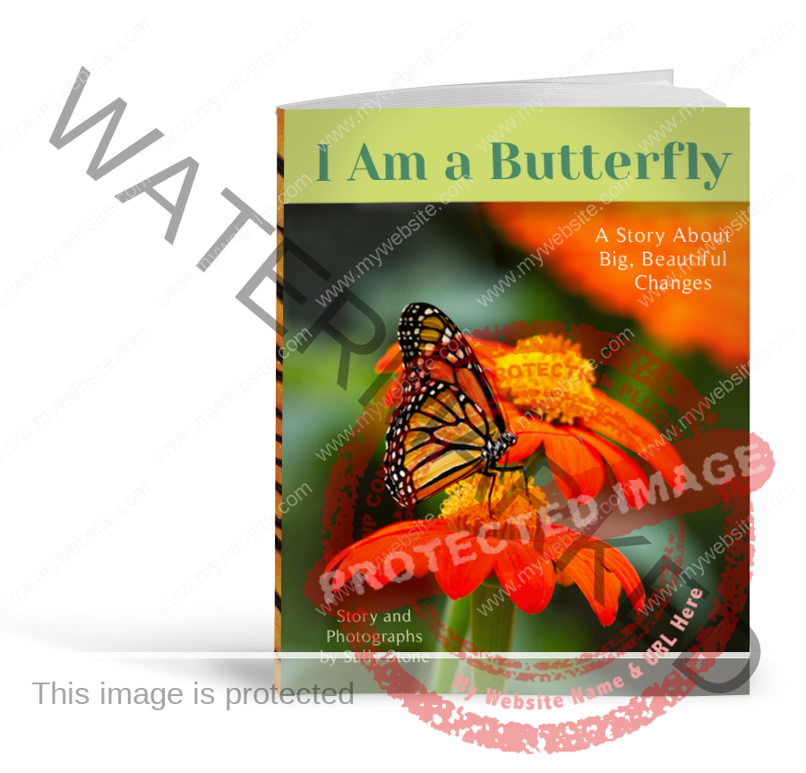 I Am a Butterfly Book