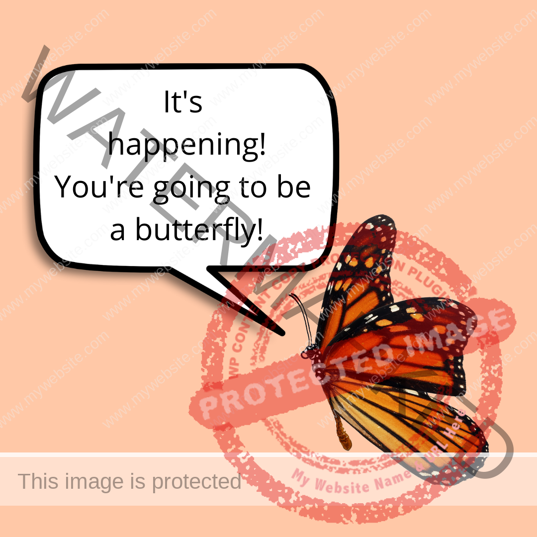 Monarch Cartoon: you're gonna be a butterfly
