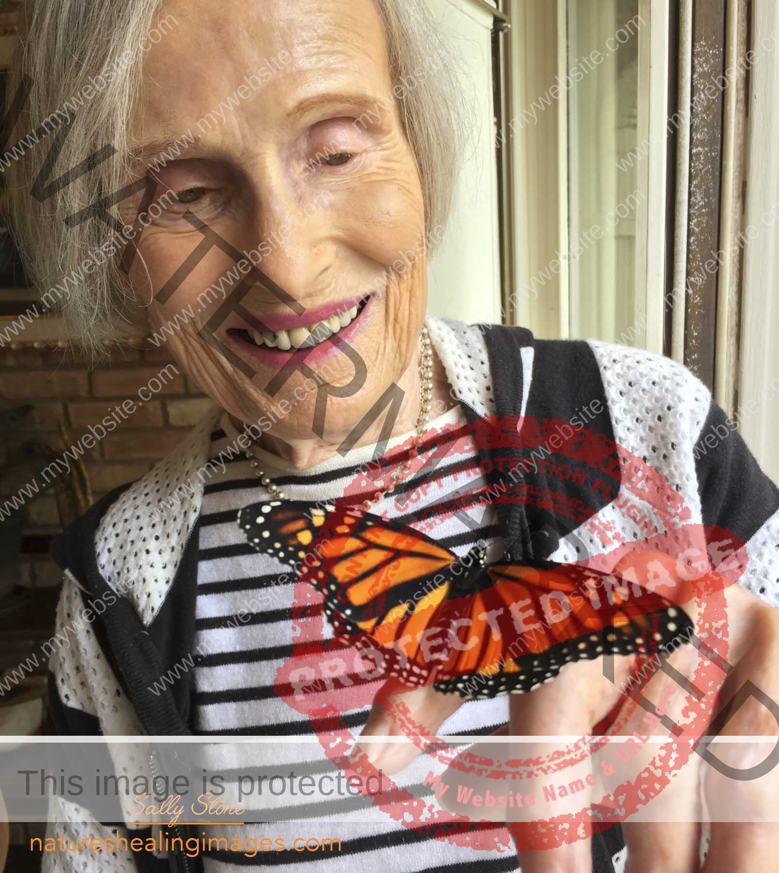 Monarch Butterfly Lifecycle, Monarch Butterfly on Mom's Finger