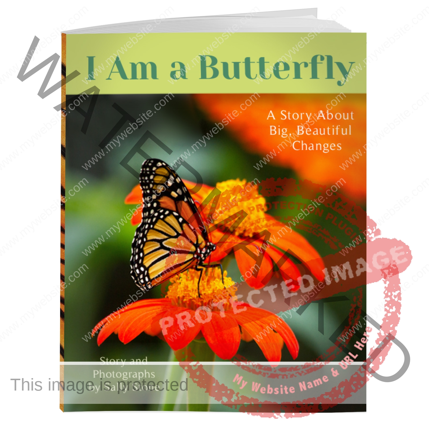 I Am a Butterfly Book Paperback