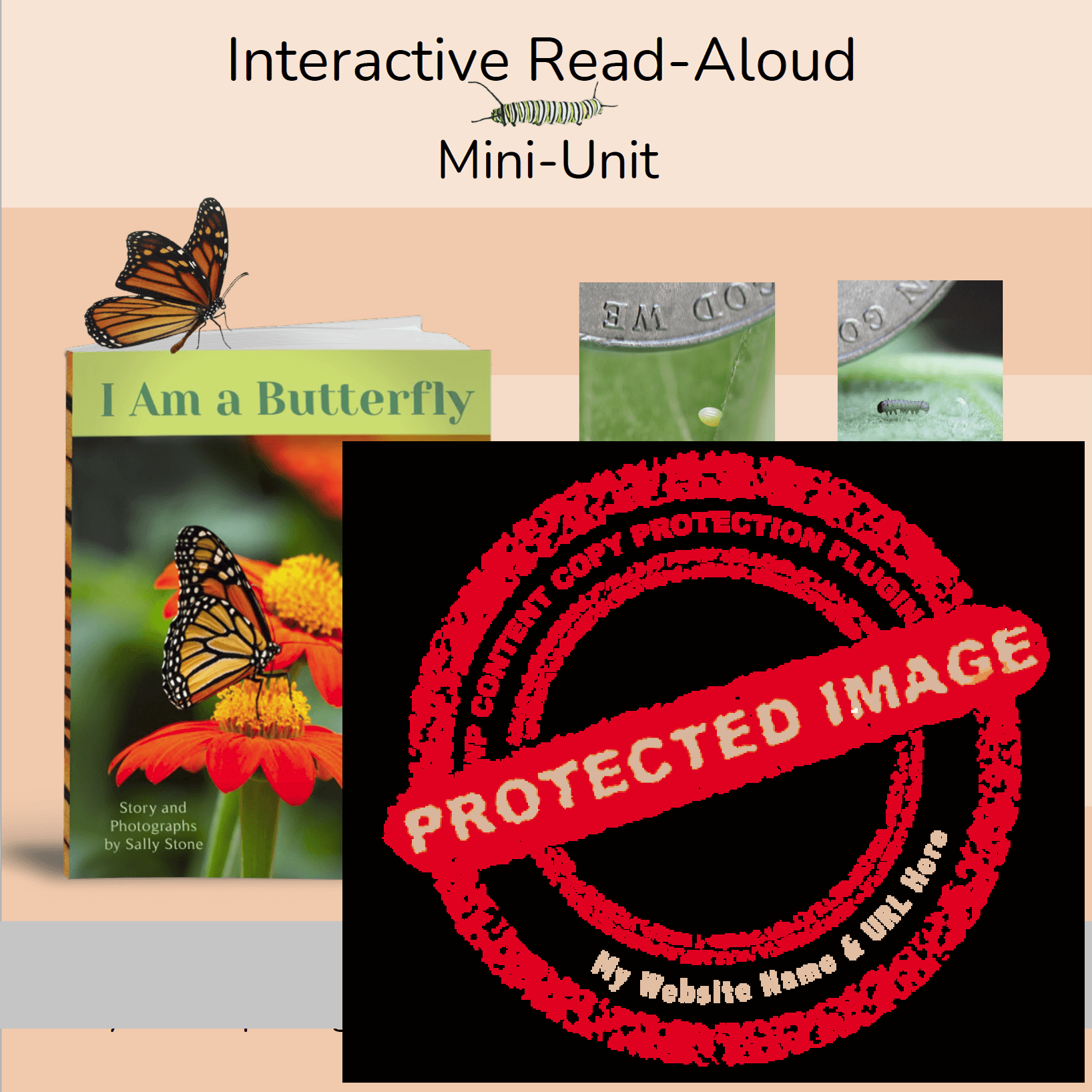 Monarch Butterfly Life Cycle Interactive Reading Unit (cover)