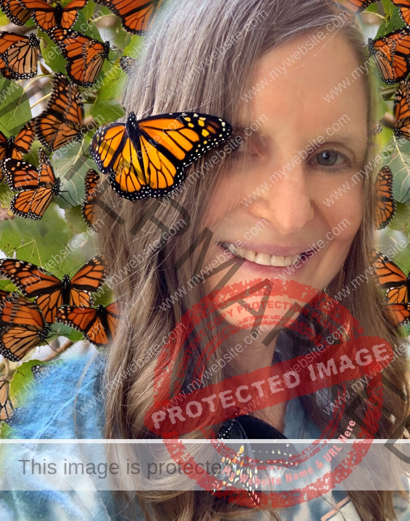 Raising Butterflies, Monarch and Swallowtail with Monarch Roost background