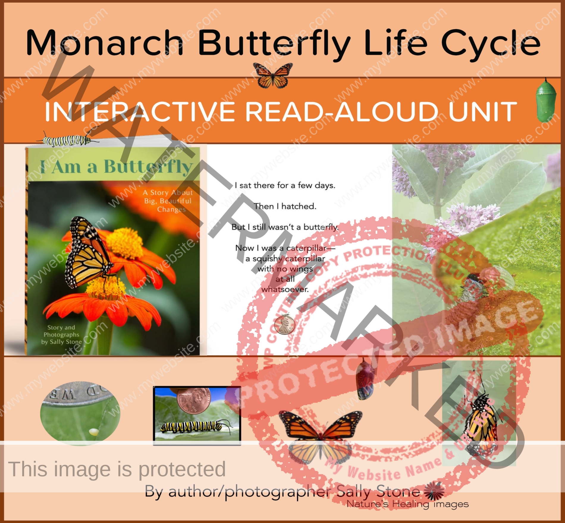 I Am a Butterfly Interactive Read-Aloud Unit COVER