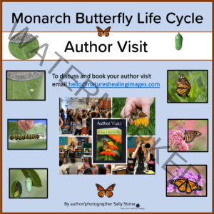 Author Visit, Monarch Butterfly Life Cycle