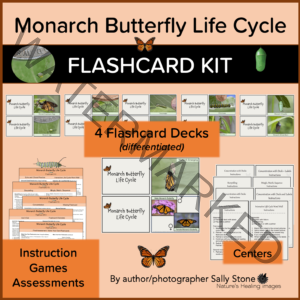 Monarch Butterfly Life Cycle Flashcard Kit