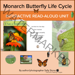 I Am a Butterfly Interactive Read-Aloud Unit