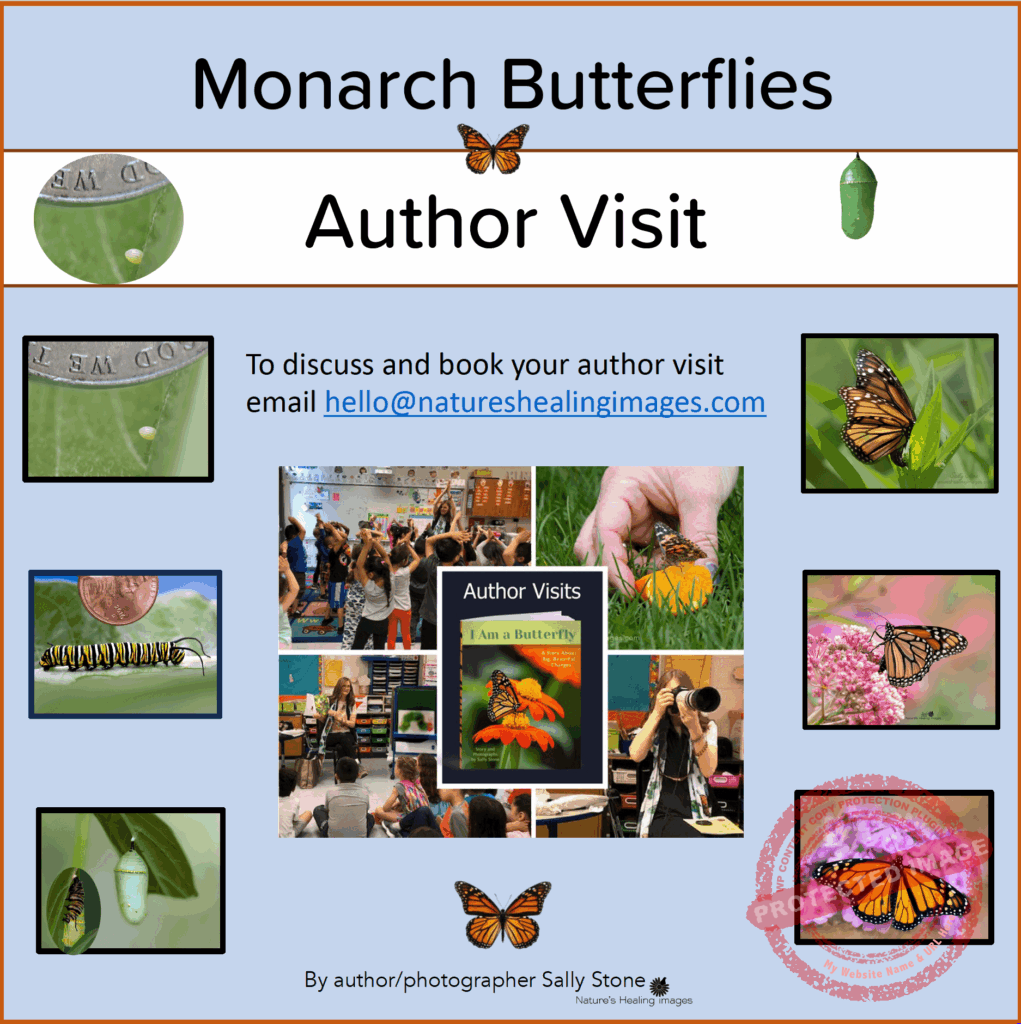 Author Visit, I Am a Butterfly Author Visit, I Am a Butterfly