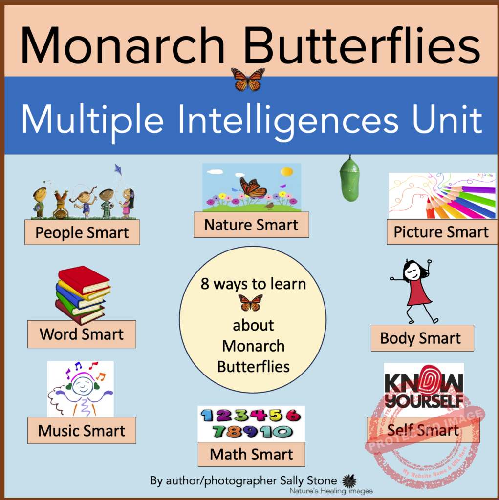 COVER MI Unit IAAB Screenshot May 24 2024 2_24PM Monarch Butterflies Multiple Intelligences Unit of Study